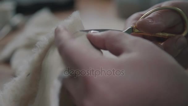 Il padrone fa un dettaglio - taglia la pelliccia per fare un giocattolo da collezione . — Video Stock