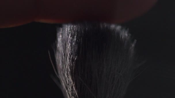 Spazzola cosmetica con polvere cosmetica diffusa su fondo nero — Video Stock