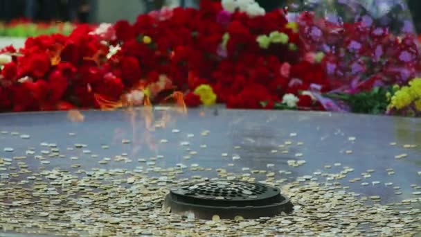 Νοβοσιμπίρσκ, Ρωσία, 9η Μαΐου 2017. Αιώνια φλόγα, που περιβάλλεται από λουλούδια — Αρχείο Βίντεο