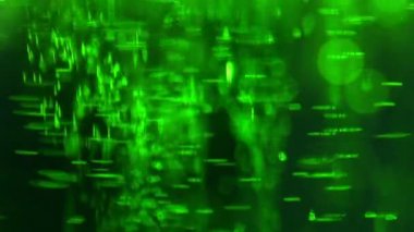 Kavramı kimya, laboratuvar, kimyasal sıvılar.