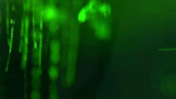 Liquid is green in a glass chemical container. Processes of chemistry — Stock Video
