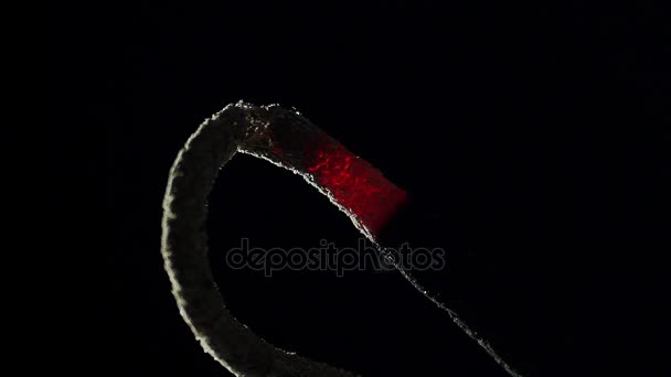 Joss stick with incense smoldering on black background, aromatic stick — Stock Video