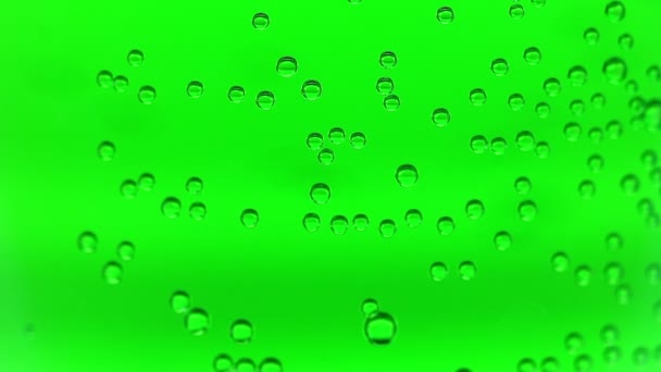 透明な化学皿の壁に空気の泡. — ストック動画