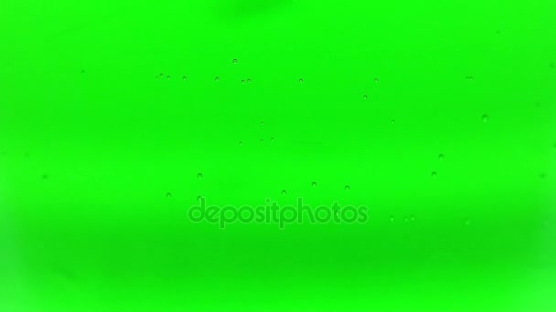 Colored chemical experiment: bright green liquid. Chemistry experiment — Stock Video