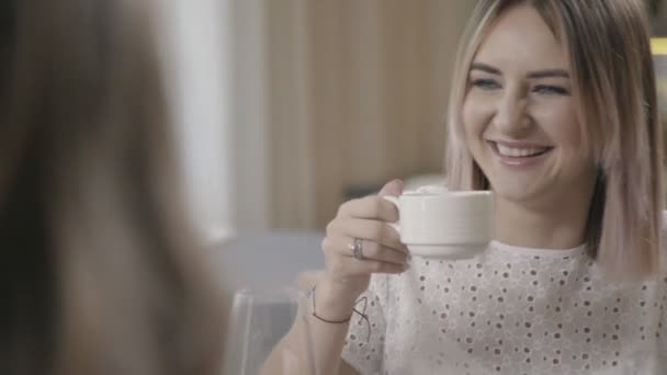 Две девушки похожи друг на друга: сидят в кафе — стоковое видео