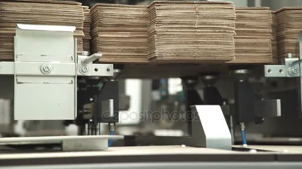 Service room for the production of boxes for packaging. — Stock Video