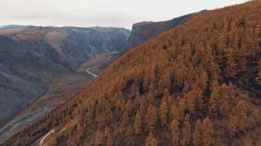 Kayalık toprak ve Kurtlar Vadisi akan bir nehir. Güzel doğal