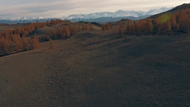 Naturlandschaft: schneebedeckte Berggipfel, vergilbte Bäume — Stockvideo