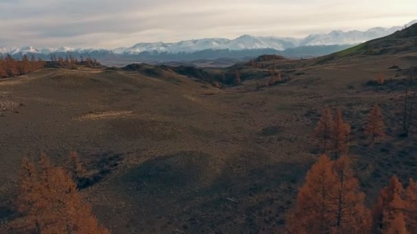 그는 시베리아의 자연: 산 계곡, 맑은 하늘. 가 — 비디오