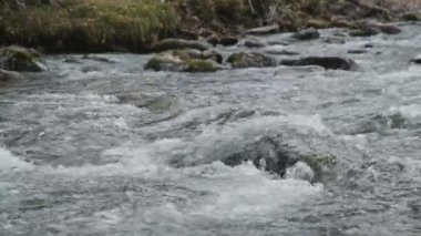 Yakın çekim: su ve kayalık rapids, bir dağ nehir akışını.