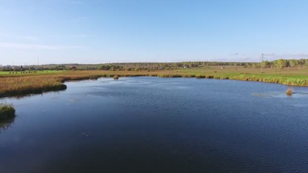 Oppervlakte van het meer: water, omgeven door gras, een zonnige dag. Luchtfoto — Stockvideo