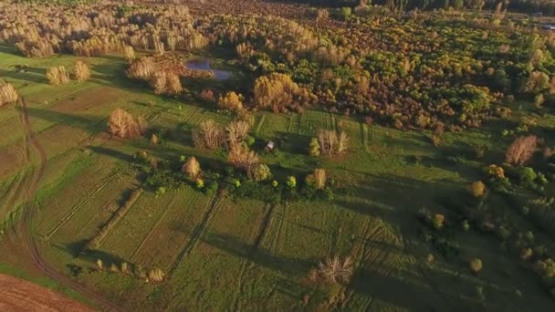 Krajobraz kraju: tylko natura, rośliny, flora. Widok z lotu ptaka — Wideo stockowe