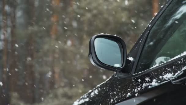 Ein schwarzes Auto steht in einem Wald im Schneefall. Fahrzeugdetails. — Stockvideo
