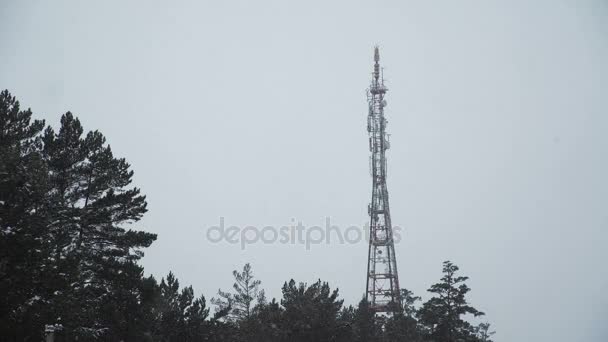 Televizní věž proti zimní zatažené oblohy a stromy v lese — Stock video
