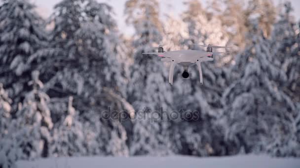 Вертолет для фото- и видеосъемки висит в воздухе на фоне леса — стоковое видео