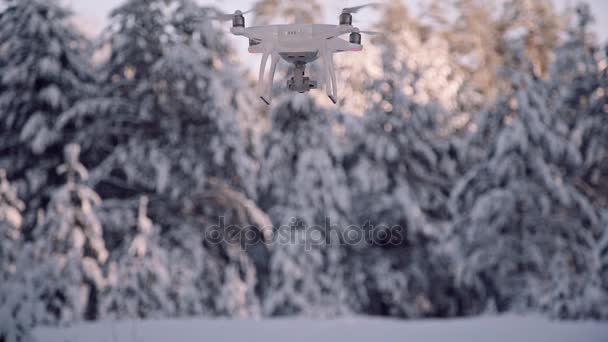 Unbemannte Quadrocopter-Kamera schwebt auf dem Rücken im gefrorenen Himmel über Wald — Stockvideo