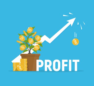 Kar kavramı. Finansal büyüme. Yatırımlar ve gelir artışı.