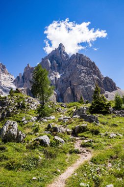 CIMON della Pala, görünümünü en iyi biliyor-Pale di San Martino Dolomites, Kuzey İtalya grup doruk.
