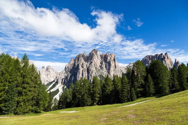 Vista del Rosengarten (Catinaccio) en verano, en los Dolomitas italianos — Foto de Stock