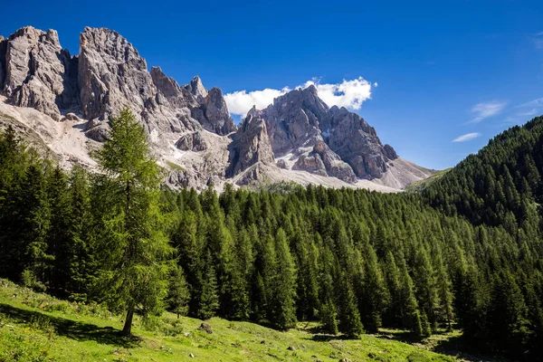 Zicht op de Val Venegia in de zomer met de Pale di San Martino op achtergrond. Dolomieten, Noord-Italië. — Stockfoto