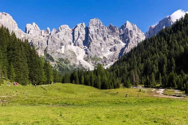 Vista de Val Venegia en verano con la Pale di San Martino de fondo. Dolomitas, norte de Italia . — Foto de Stock