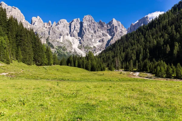 Vista de Val Venegia en verano con la Pale di San Martino de fondo. Dolomitas, norte de Italia . — Foto de Stock