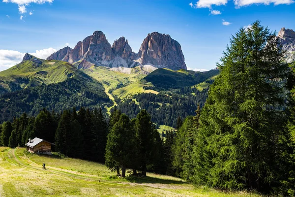 El grupo Sassolungo (Langkofel) de los Dolomitas italianos en verano — Foto de Stock