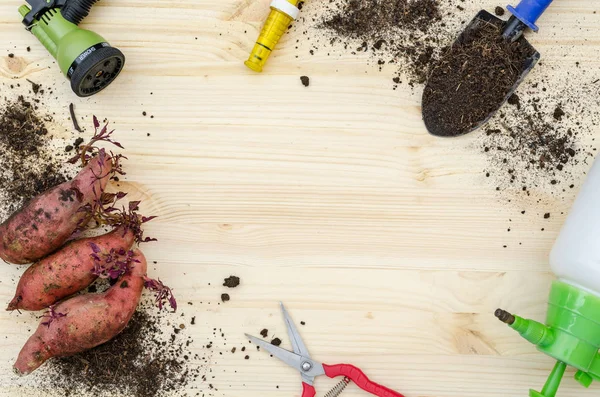 tatlı patates tarım için Araçlar