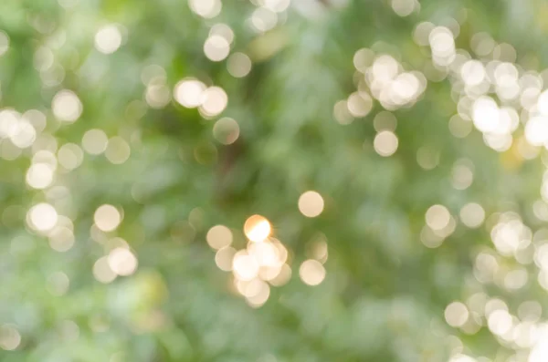 arka plan için doğadan gerçek bokeh