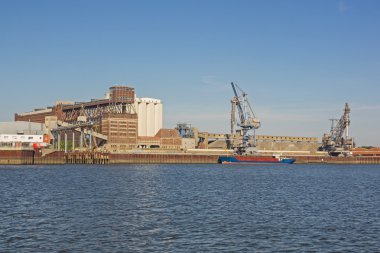 Tahıl bitki Bremen, Almanya