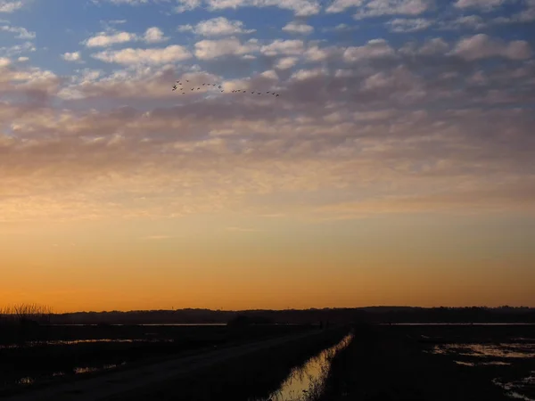 Pôr do sol na charneca Teufelsmoor, na Alemanha, perto da aldeia de artistas Worpswede — Fotografia de Stock