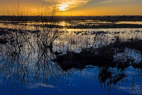 Pôr do sol na charneca Teufelsmoor, na Alemanha, perto da aldeia de artistas Worpswede — Fotografia de Stock