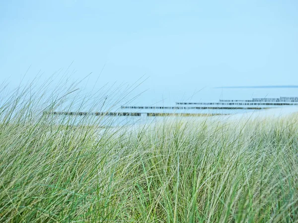 Playa del Mar Báltico cerca de Ahrenshoop con dunas y pasto marram en primer plano — Foto de Stock