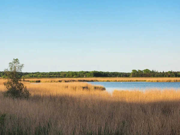 Paisagem na baía no mar Báltico perto de Zingst, Mecklemburgo-Pomerânia Ocidental — Fotografia de Stock