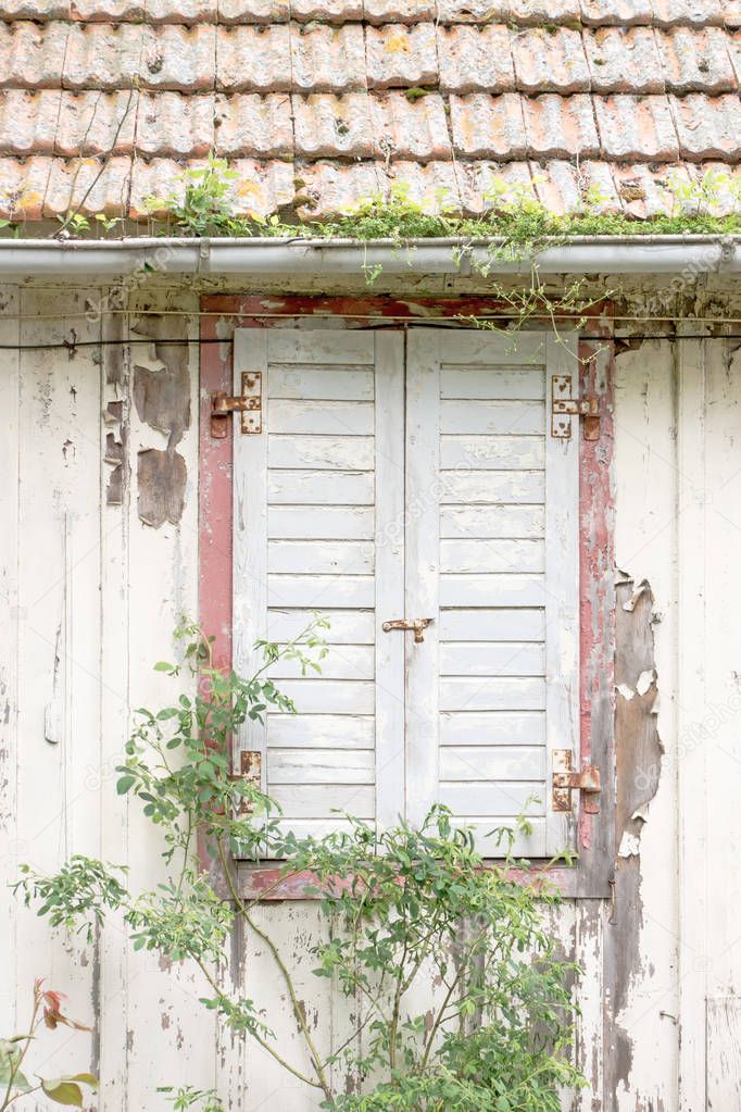 Window with window shutters of an decayed house