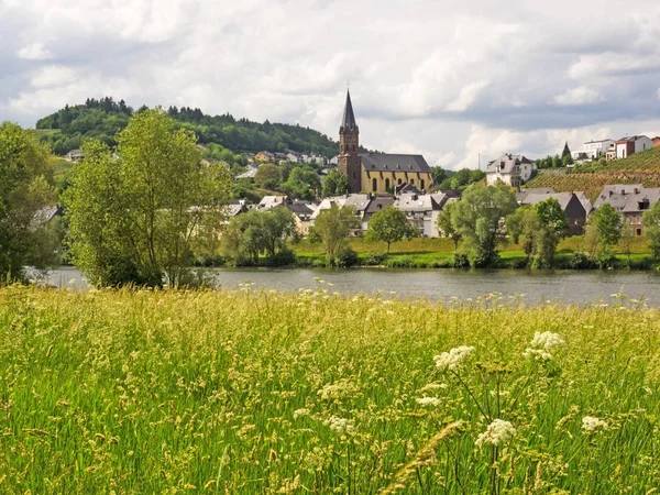 Nehir Moselle Nehir Lieser Görünümünü — Stok fotoğraf