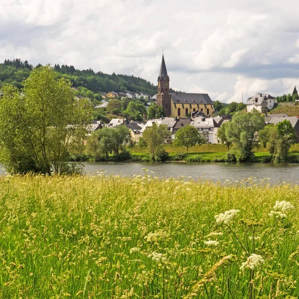 Görünümünü Lieser Moselle Nehri Nehri Almanya — Stok fotoğraf