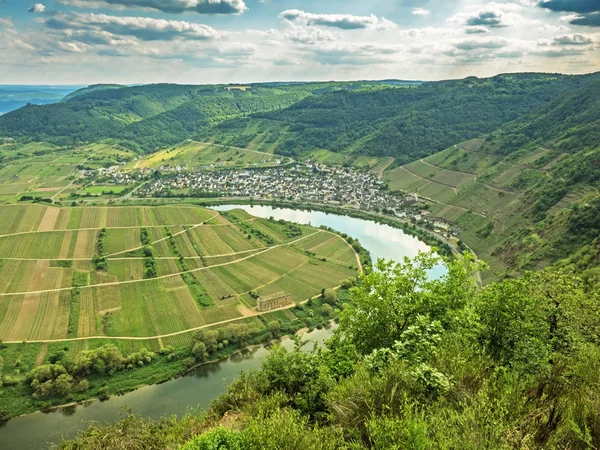 Nehir Moselle Döngü Köyü Bremm Almanya — Stok fotoğraf
