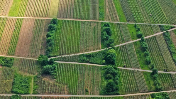 Vista Aérea Región Vitícola Valle Del Mosela — Foto de Stock