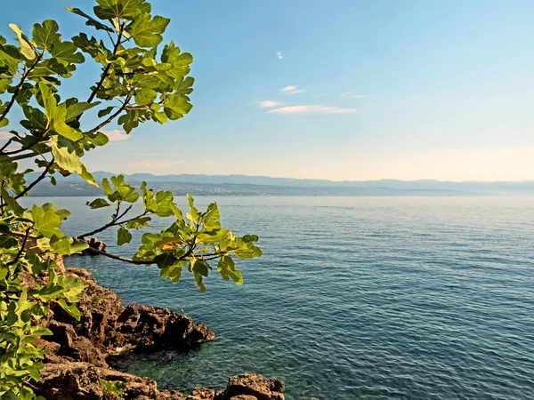 Hırvatistan Kvarner Körfezi kıyı şeridi