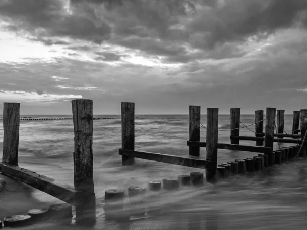 Imagen Monocromática Una Gruñona Mar Báltico Cerca Zingst Mecklemburgo Pomerania — Foto de Stock