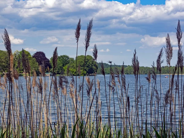 Lago Haussee Nos Lagos Feldberg Mecklemburgo Pomerânia Ocidental Alemanha — Fotografia de Stock