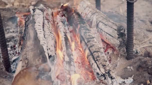 Táborní oheň hoří pod kotlem — Stock video
