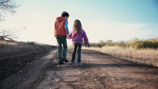 Deux jeunes enfants marchant le long d'un chemin de terre — Video