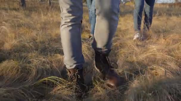 Cerca de los pies caminando a través de la hierba salvaje — Vídeo de stock