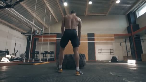 Fit hombre muscular haciendo ejercicios crossfit — Vídeos de Stock