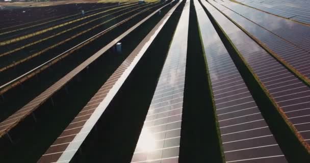 Fileiras longas de painéis fotovoltaicos em uma fazenda solar — Vídeo de Stock