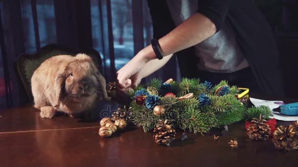 Personne qui pose des ingrédients naturels pour une couronne — Video