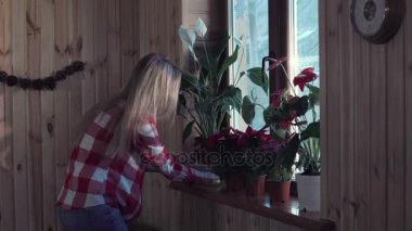 Genç kadın çiçek pencere pervazına üzerinde düzenliyor