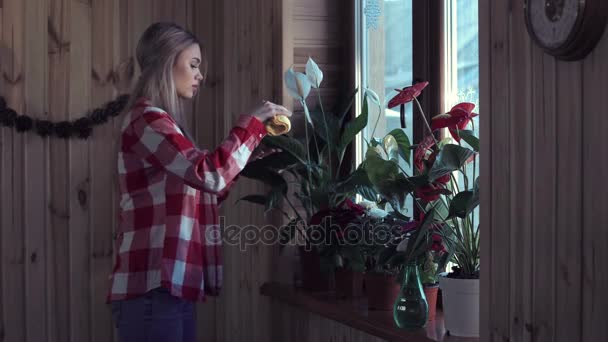 Femme époussetant des feuilles de plantes dans la fenêtre — Video